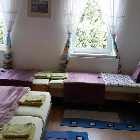 Hotel Hotel-pension Alte Schule 2*