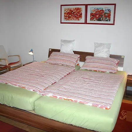 Hotel Hotel-pension Alte Schule 2*