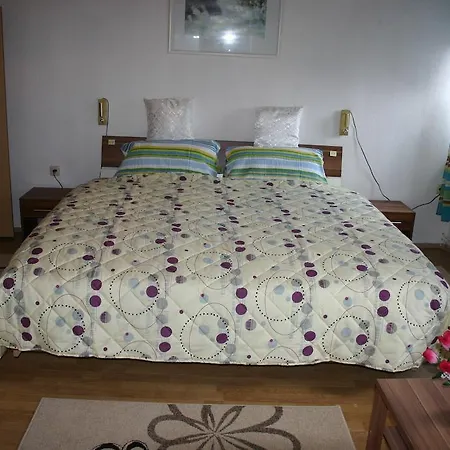 Hotel-pension Alte Schule